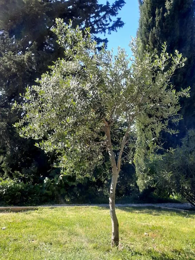 Appartement Les Deux Tilleuls Sablet Frankrijk